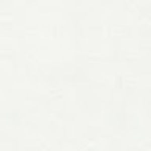 Meet your Posher, Amelia